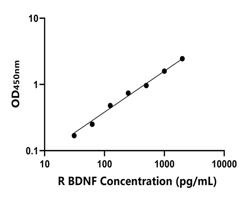 兔(BDNF)ELISA试剂盒 兔(BDNF)ELISA试剂盒