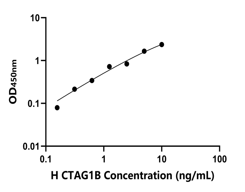 人(CTAG1B)检测试剂盒