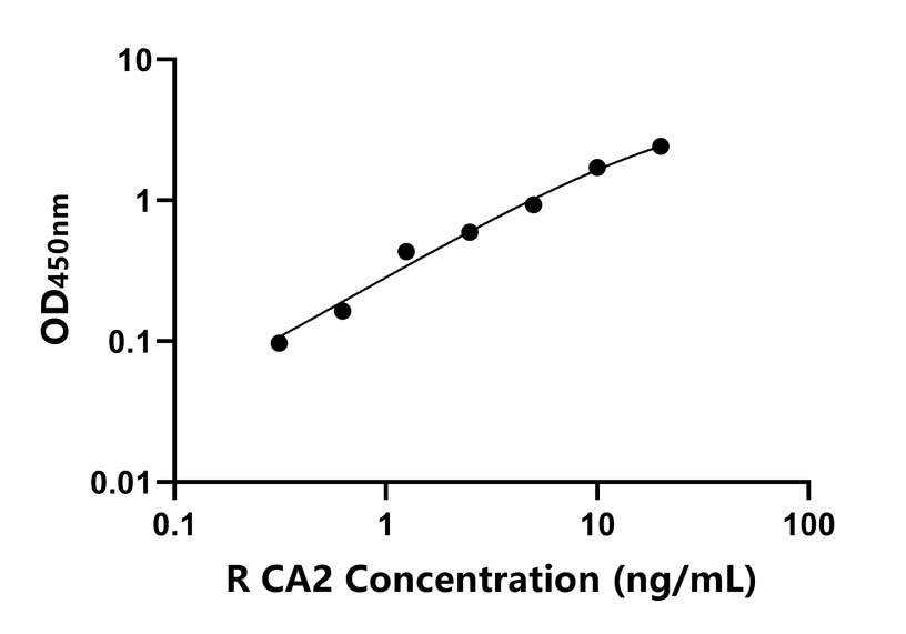 大鼠 (CA2) ELISA 试剂盒