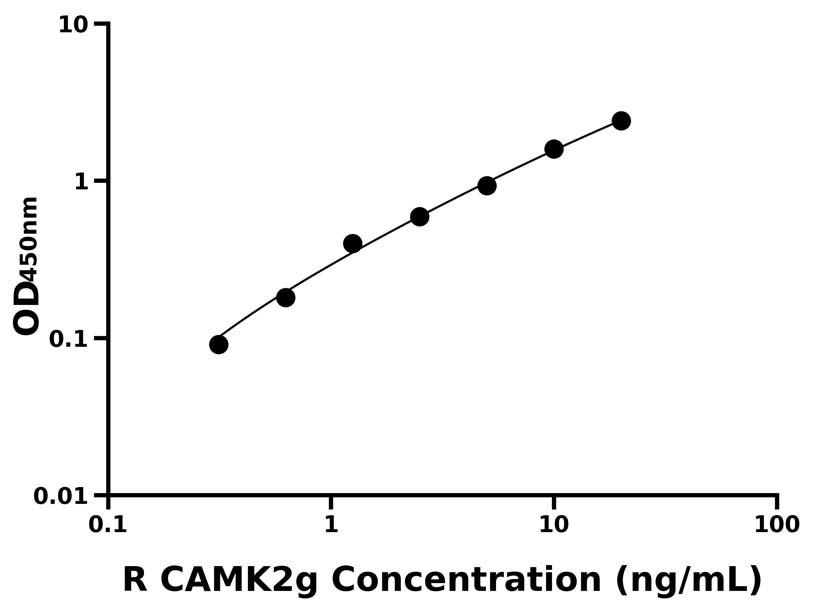 大鼠(CAMK2g)ELISA试剂盒